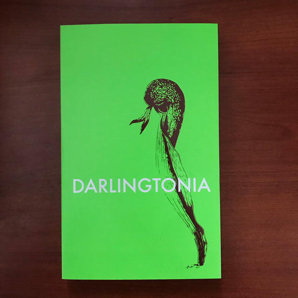 Darlingtonia by Alba Roja